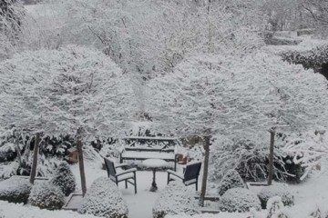 Winter Landscaping