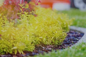 How to Improve Your Property's Curb Appeal | Buildium