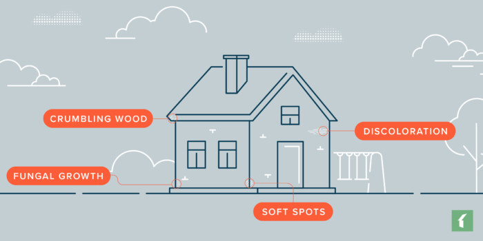 spring maintenance checklist wood rot